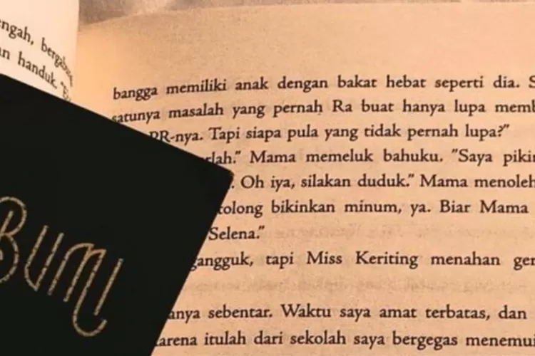 Novel Bumi karya Tere Liye (dok.pribadi)