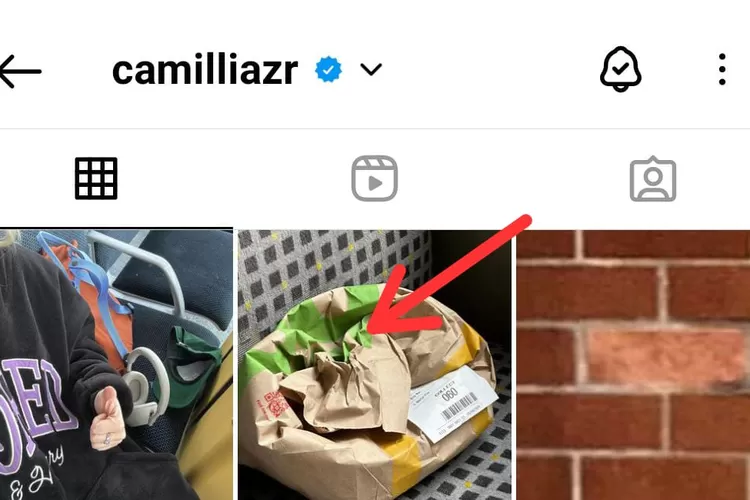Zara sengaja unggah kantong makanan McD (instagram @camilliazr)