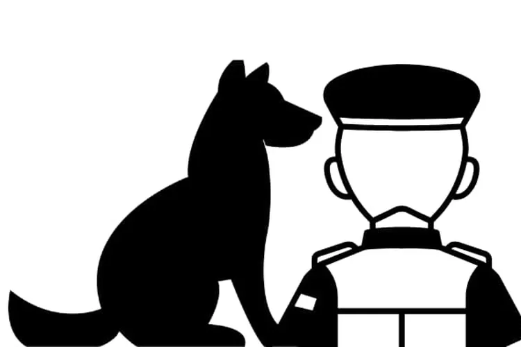 Ilustrasi (Istimewa)