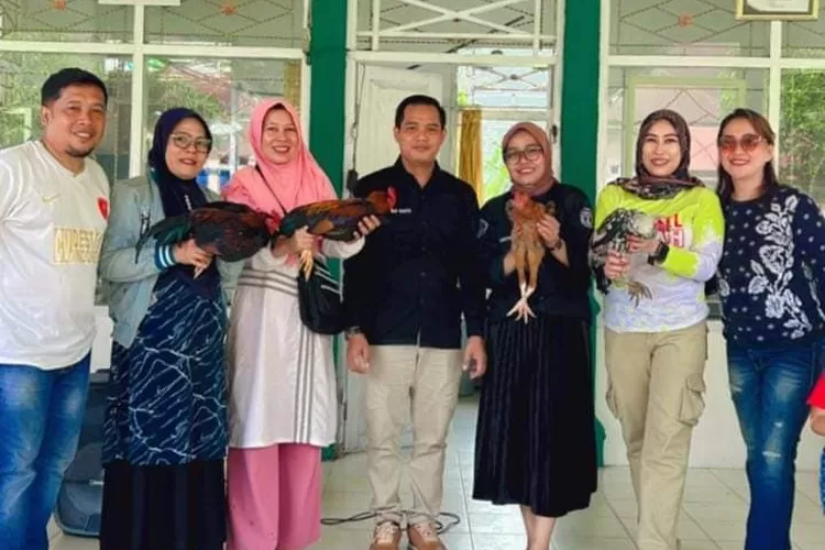 Unik, SD di Masamba Ini Gelar Porseni Berhadiah Ayam Kampung (Dok. LHR)
