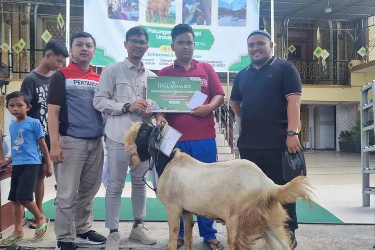 152 Ekor Hewan Qurban Disalurkan Oleh Perwira Patra Niaga Jawa Bagian Tengah (release)