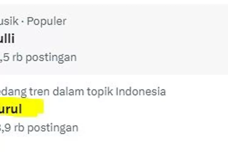 Nurul Viral (Tangkap Layar X)