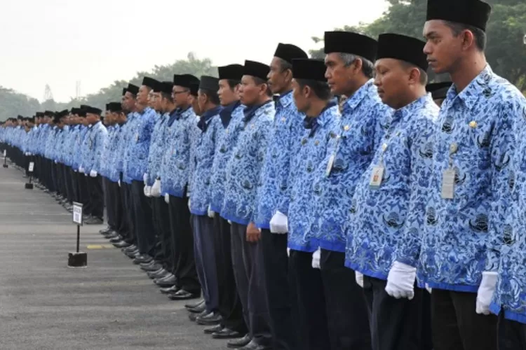 Menteri Pendayagunaan Aparatur Negara dan Reformasi Birokrasi, Rini Widyantini, menyebut kebijakan WFA ASN bukan kewajiban.  (Kemenpan RI)