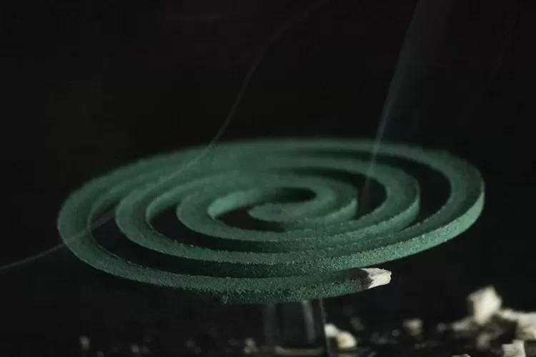 Foto Ilustrasi - Obat nyamuk mengandung beberapa bahan aktif yang membuatya efektif membasmi nyamuk dan serangga.  ((Unsplash/Ronald Langeveld))