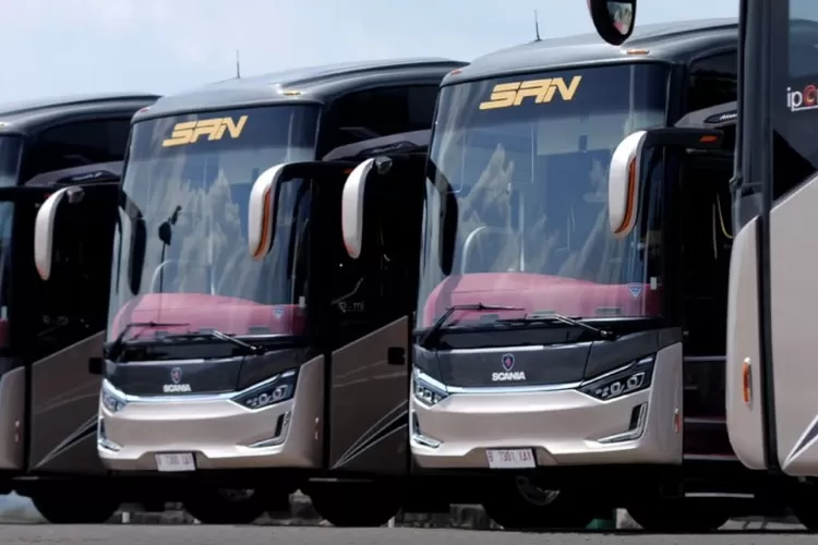 PO Bus SAN Putra Sejahtera menyatakan tidak memperdengarkan musik untuk pelanggannya selama perjalanan imbas aturan biaya royalti.  ((Instagram.com/@po_san_official))