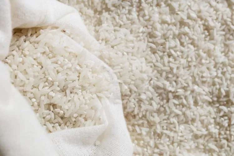 Foto ilustrasi beras - Bulog pastikan berasnya masih aman dan layak dikonsumsi.  ((Freepik/Freepik))