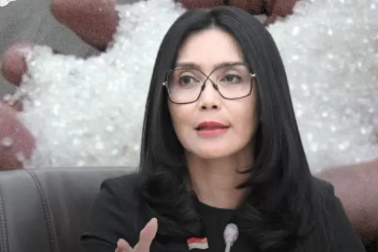 Anggota Komisi VI DPR RI, Rieke Diah Pitaloka kritik tunjangan kinerja kementerian yang disebut punya persentase tertinggi.  ((Instagram/bantengsenayan))