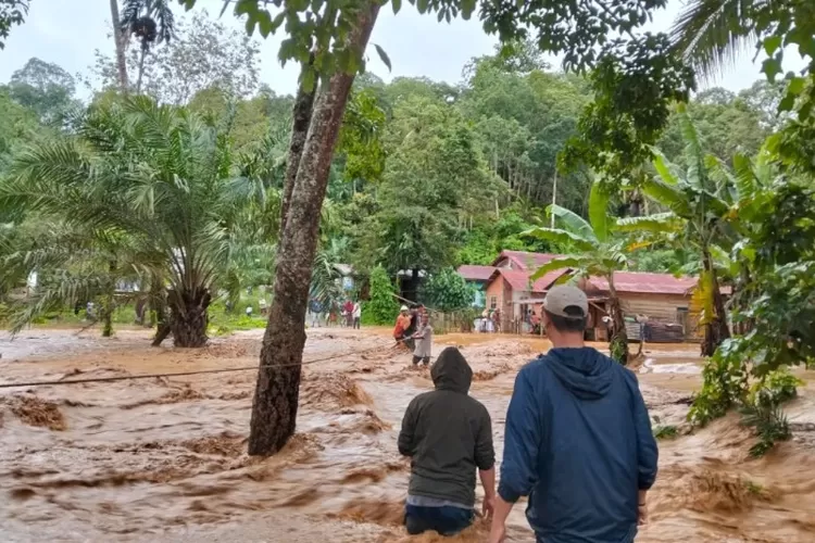 Tragedi banjir bandang di Sumatera picu desakan status bencana nasional usai timbulkan korban jiwa hingga kerusakan infrastruktur ( (Dok. BNPB))