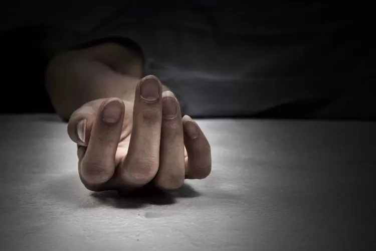 Ilustrasi pembunuhan oleh Suzane von Richthofen, pelaku utama dalam kasus pembunuhan orang tuanya yang menggemparkan Brasil. (pinterest.com)