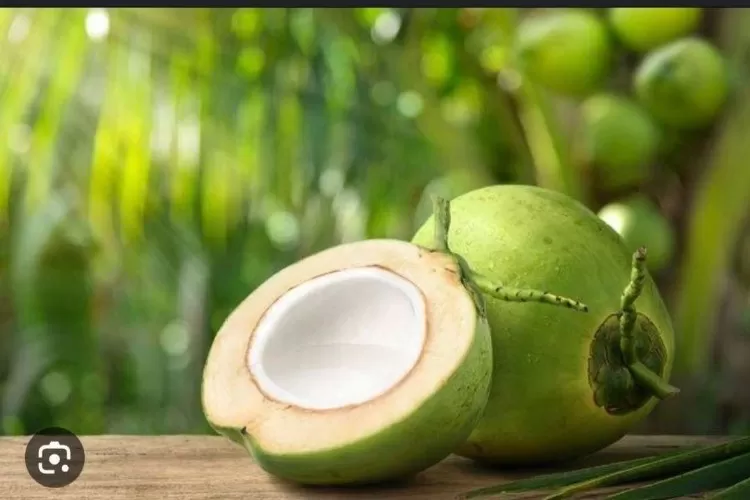 Kelapa Muda (rri.co.id)