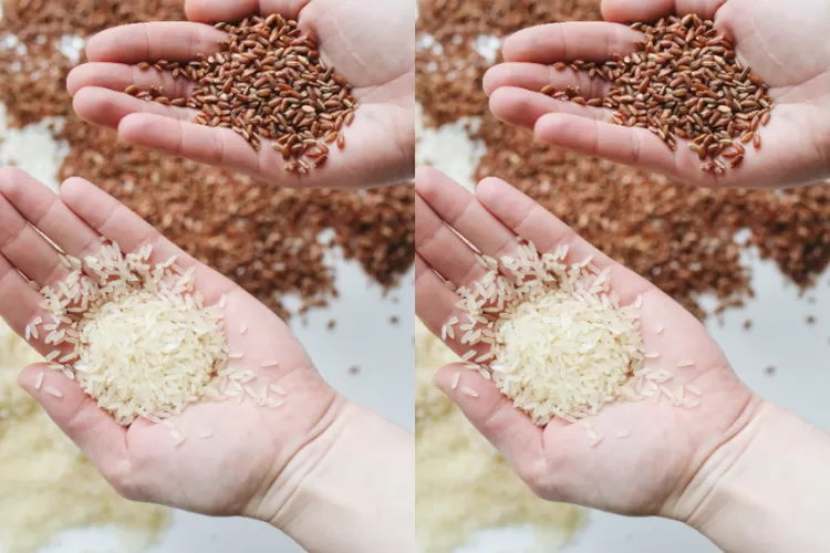 Semua nasi berasal dari beras dan semua beras berasal dari padi dan semua padi berasal dari tanah yang subur (pexels)