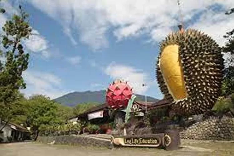 Rekomendasi Hotel Untuk Wisata Di Bogor Untuk Dikunjungi  (Isti)
