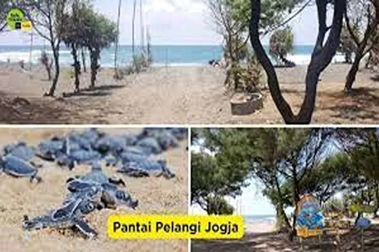 Pantai Pelangi Tempat Liburan Yang Lagi Hits Di Jogja  (Isti)