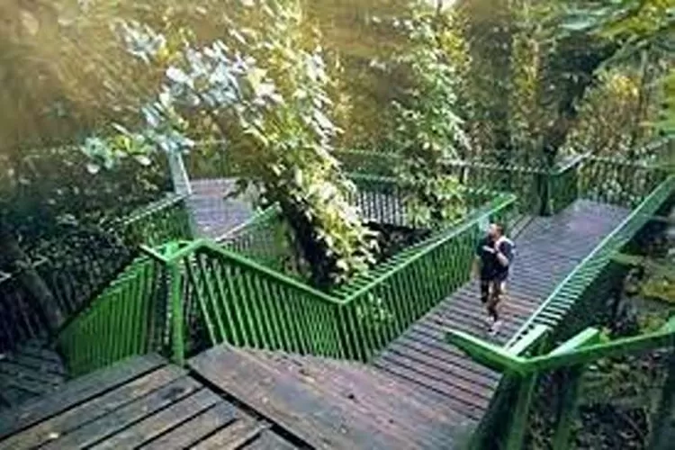 Wisata Forest Walk di Babakan Siliwangi, Bandung, Jawa Barat  (Isti)