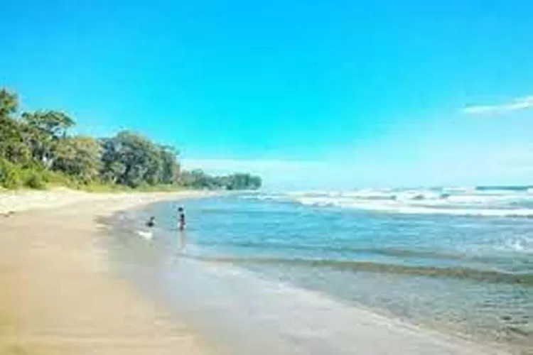 Pantai Cipatujah,  Wisata Pantai Yang Menarik Di Tasikmalaya  (Isti)