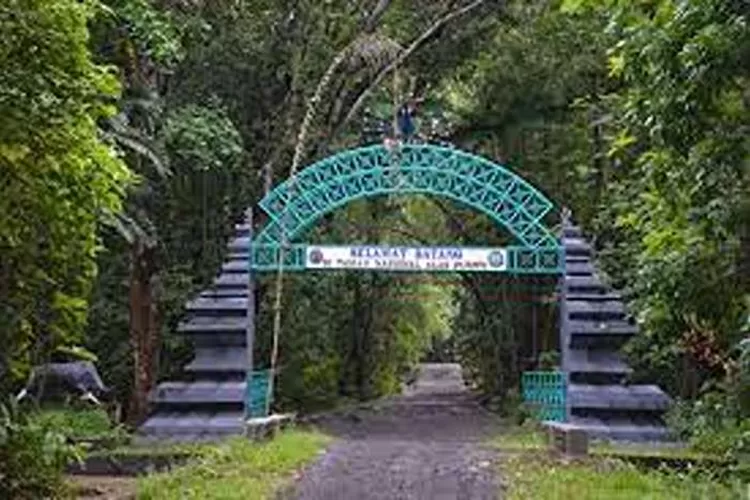Taman Nasional Purwo, Banyuwangi Menarik Untuk Dikunjungi  (Isti)