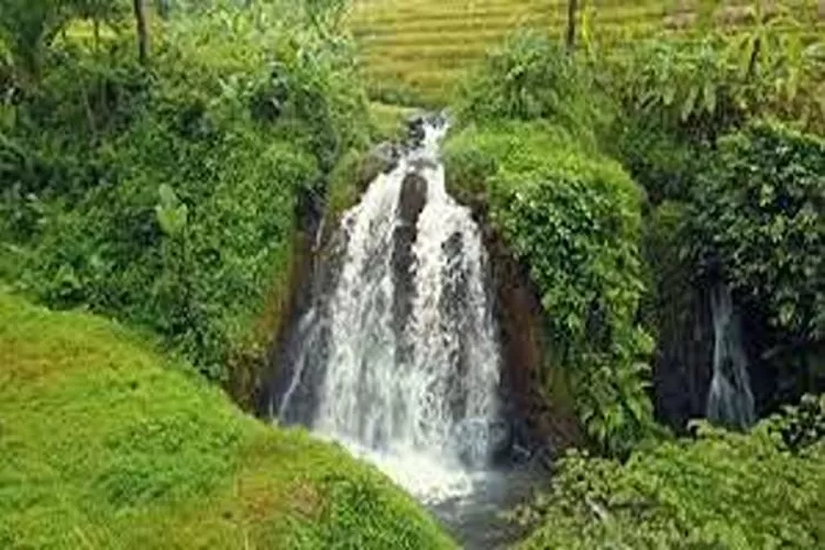 Curug Sawer, Wisata Alam dan Air Terjun Di Bogor Yang Menarik Dikunjungi  (Isti)