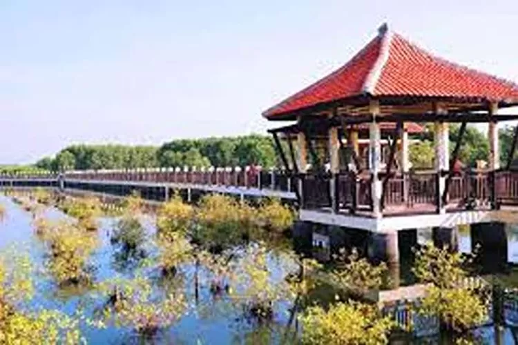 Tempat Wisata Di Pekalongan Yang Menarik Untuk Dikunjungi  (Isti)