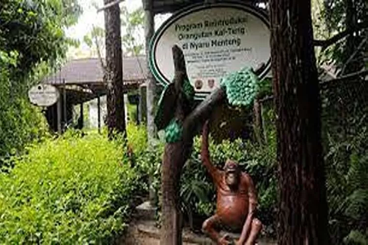 Arboretum Nyaru Menteng, Wisata Alam Di Samosir, Sumatera Utara  (Isti)
