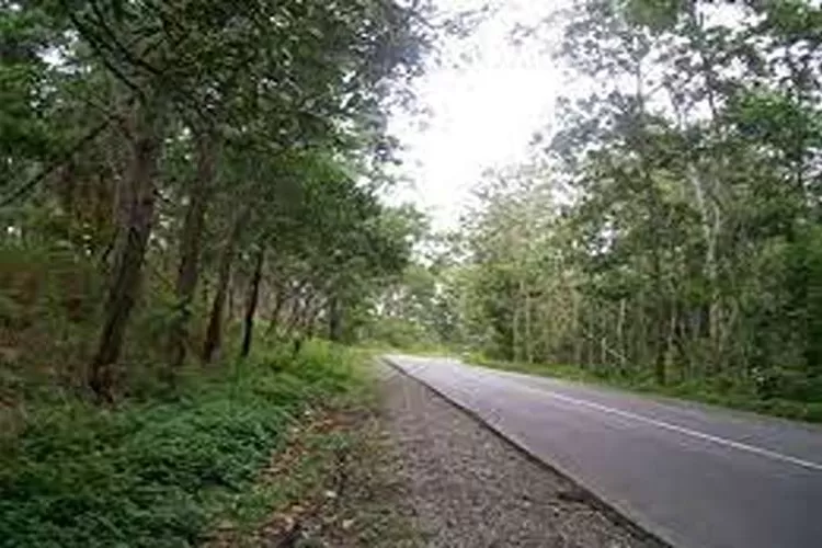 Bukit Soeharto, Taman Hutan Raya Di Kutai Kartanegara  (Isti)