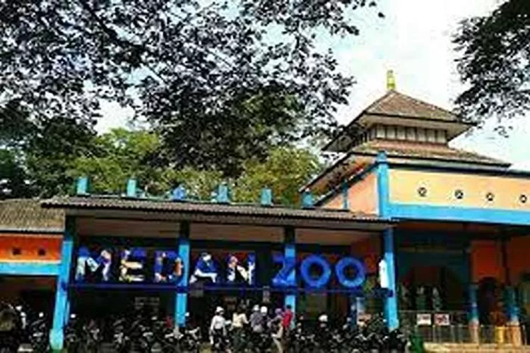 Kebun Binatang Medan, Wisata Edukasi Yang Menarik Dikunjungi Bersama Keluarga  (Isti)