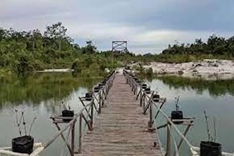Danau Belibis Tayan, Pesona Wisata Alam Di Sanggau, Kalimantan Barat  (Isti)