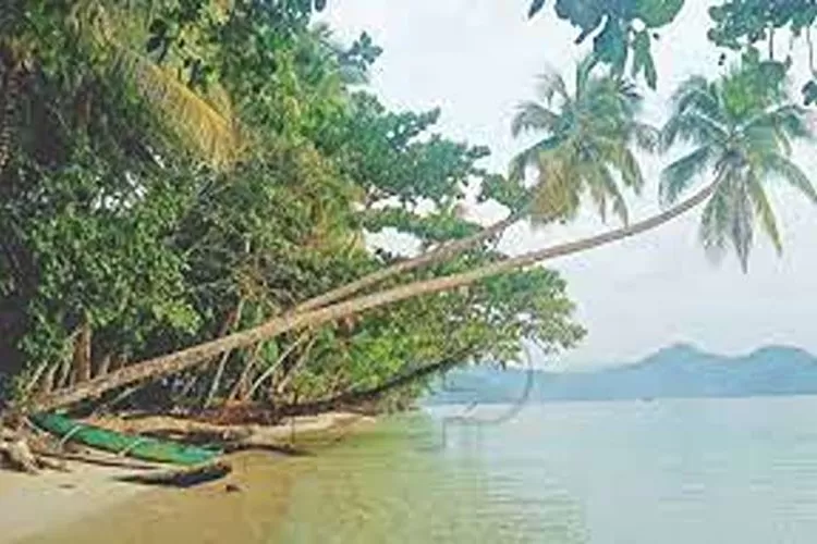 Pantai Harlem, Rekomendasi Wisata Alam Yang Memukau Di Jayapura, Papua  (Isti)