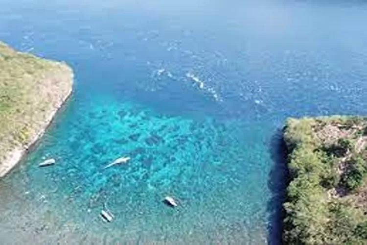 Gamat Bay Wisata Diving dan Snorkeling Yang Menakjubkan Di Nusa Penida  (Isti)