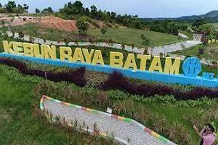 Rekomendasi Wisata Kebon Raya Batam Yang Menarik Untuk Dikunjungi  (Isti)