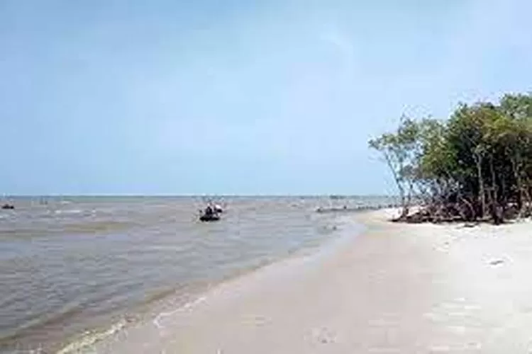 Pantai Mangrove, Wisata Alam Di Kampung Nipah Yang Terkenal  (Isti)