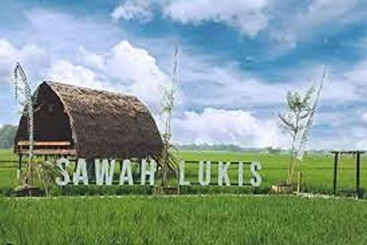 Sawah Lukis Binjai, Wisata Yang Terkenal Hits Di Sumatera Utara  (Isti)