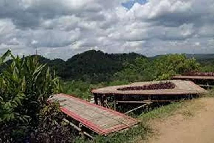 Bukit Panginsn, Wisata Alam Di Pringsewu, Lampung Yang Menarik Untuk Dikunjungi  (Isti)