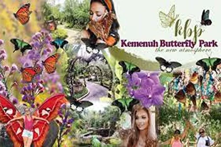 Kemenuh Butterfly Park, Wisata Edukasi Yang Menarik Bagi Anak-anak  (Isti)