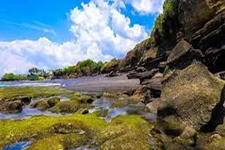 Pantai Nyanyi, Rekomendasi Wisata Alam Yang Menarik Untuk Dikunjungi  (Isti)