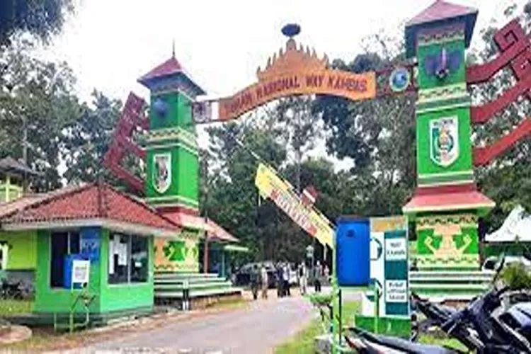 Taman Nasional Way Kambas, Wisata Edukasi Di Lampung Yang Cocok Untuk Anak-anak  (Isti)