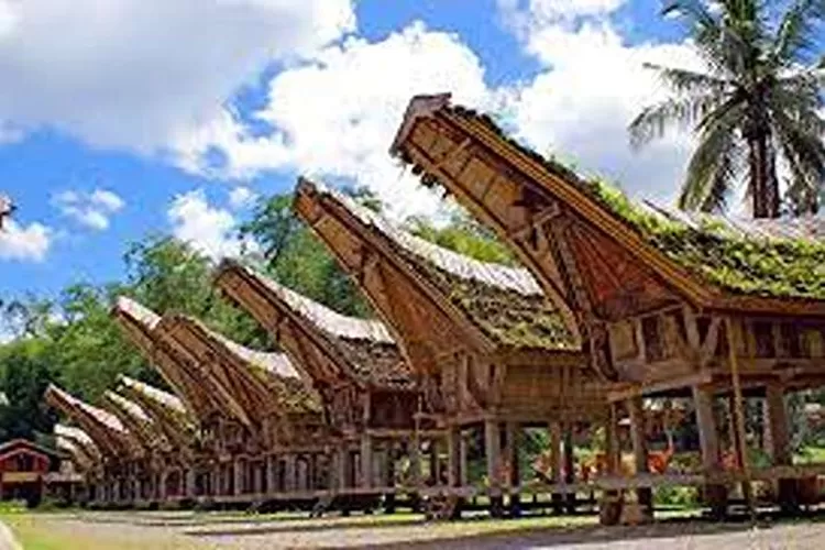 Rekomendasi Wisata Di Tanah Toraja Yang Menarik Untuk Dikunjungi  (Isti)