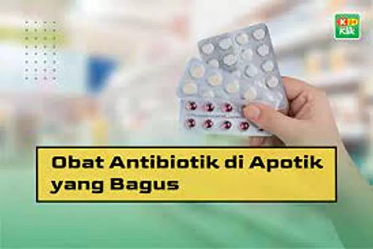 Tips Minum Obat Antibiotik Sebagai Imunitas Tubuh Dari Penyakit  (Isti)