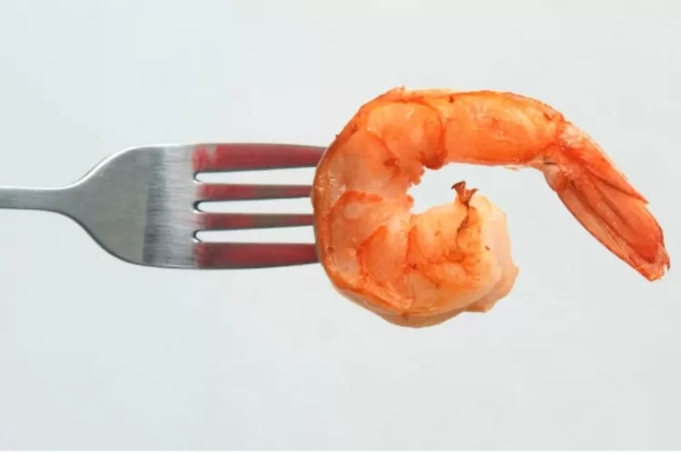 Foto ilustrasi udang yang dikonsumsi - Mendag respon temuan dugaan pencemaran radioaktif pada udang beku ekspor ke AS. 