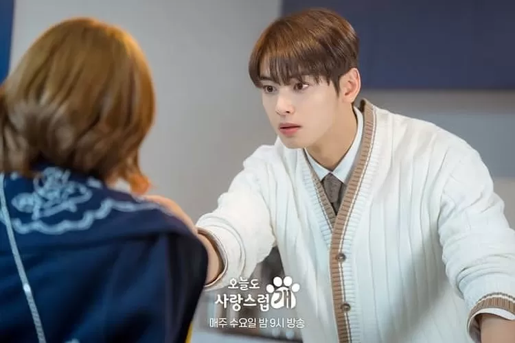 Link nonton streaming drama Korea A Good Day To Be A Dog episode 9 sub indo. (Instagram/@mbcdrama_now)