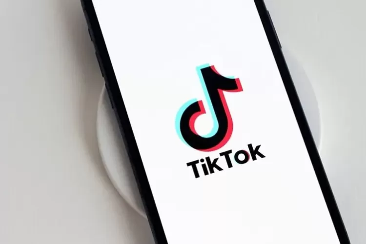 TikTok Replay 2023: Rekomendasi Lagu, Tren, dan Konten Viral di TikTok ...