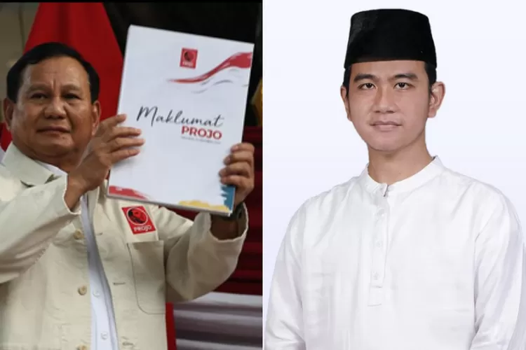 Gibran Rakabuming Raka Resmi Cawapres Prabowo Subianto 2024: Apa ...