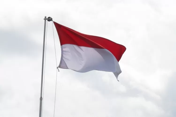 Pedoman Penyelenggara Upacara Peringatan Hari Pahlawan 10 November 2023 ...