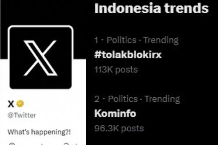 Netizen Heboh dan Ngamuk X Diblokir Terkait Judol, Tolakblokirx Trending-1