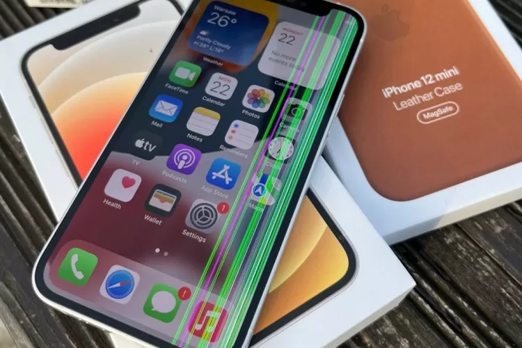 Apple iPhone 12 Mini Memiliki Fitur MagSafe yang Inovatif (Apple / HukamaNews.com)