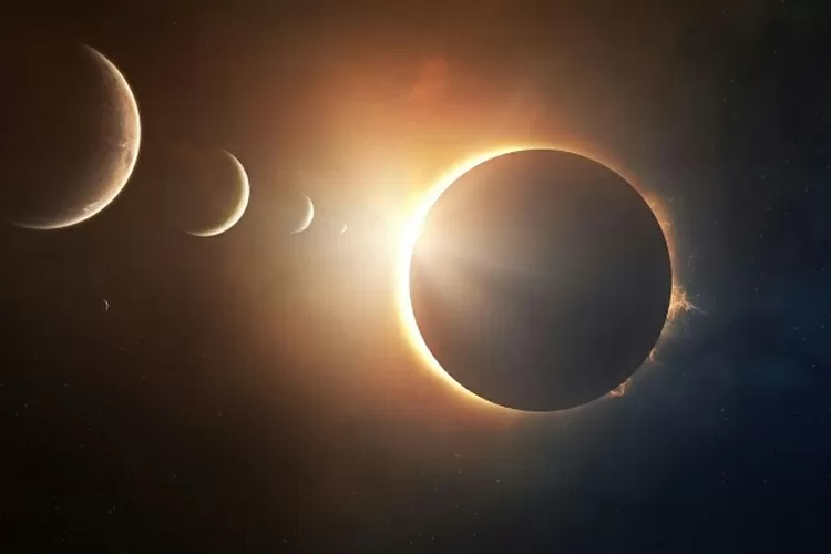 Total Solar Eclipse in 2024: Animal Behavior Study and Phenomenon Details