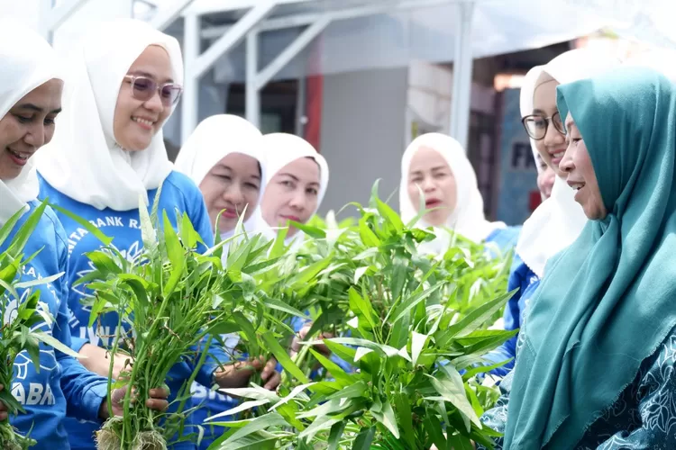 BRInita Berdayakan Lahan Sempit Menjadi Sangat Mengahasilkan