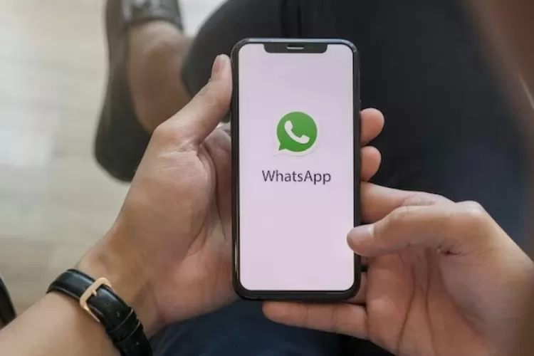 Cara Download GB WhatsApp Apk Versi Terbaru 2023, Gratis Anti Blokir ...