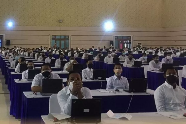 Jadwal Pengangkatan Honorer Jadi PPPK Tahun 2024, ada kategori pengangkatan langsung. (Akhmad Eka Shihabudin)