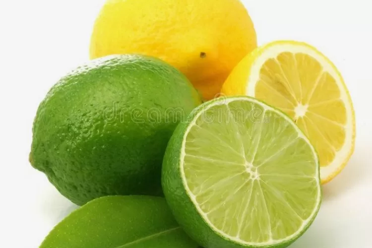  Lemon vs Jeruk Nipis, Manakah yang Lebih Baik untuk Kesehatan?