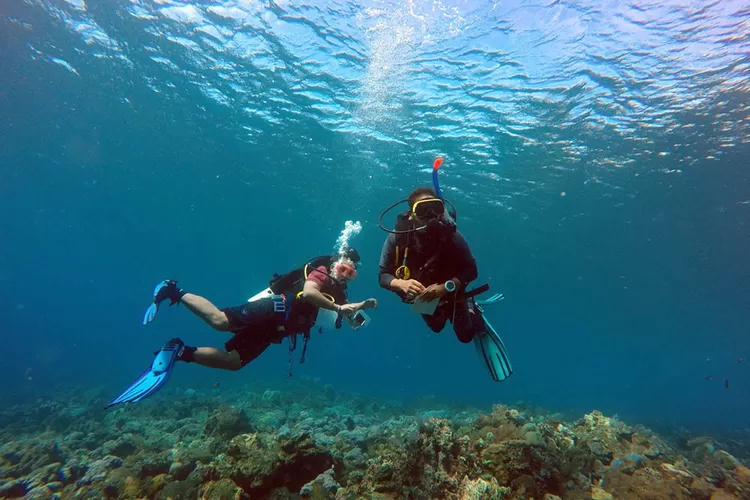 Rekomendasi Wisata Bahari yang Bisa Kamu Kunjungi di Bulan Februari 2024, Harus Masuk ke Dalam Wishlist Kamu!